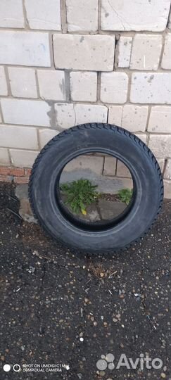 Viatti Brina Nordico V-522 195/65 R15