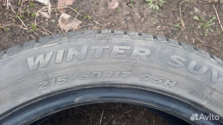 Gopro Winter-Eco 215/50 R17