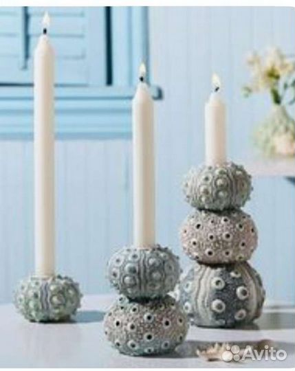 Панцири раковины морского ежа