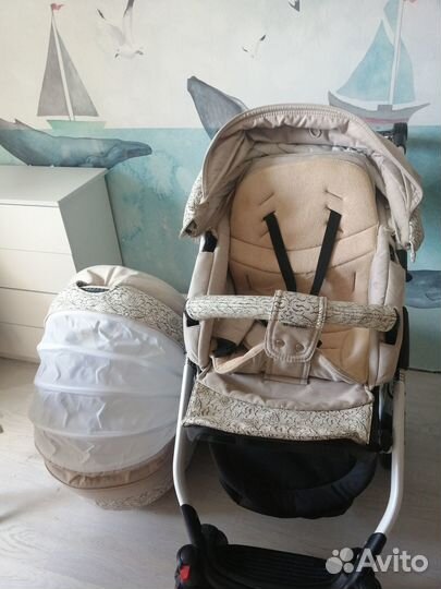 Коляска 2в1 adamex