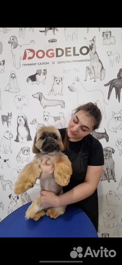 Груминг животных