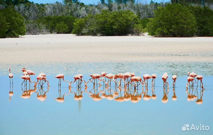 Путевка на о. Кайо Коко (Куба) от 7 дн