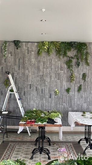 Вертикальное озеленение