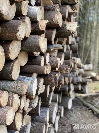 Расчистка участков / спил деревьев