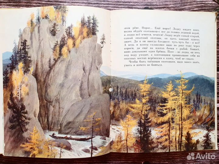 Снегирев. В разных краях 1981 г