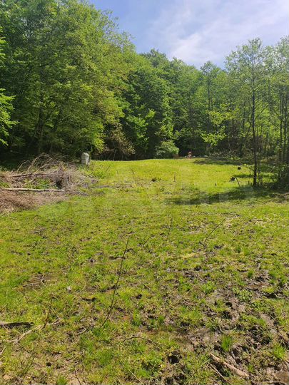 Участок 6,2 сот. (СНТ, ДНП)