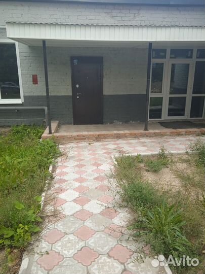 Аренда зала единоборств