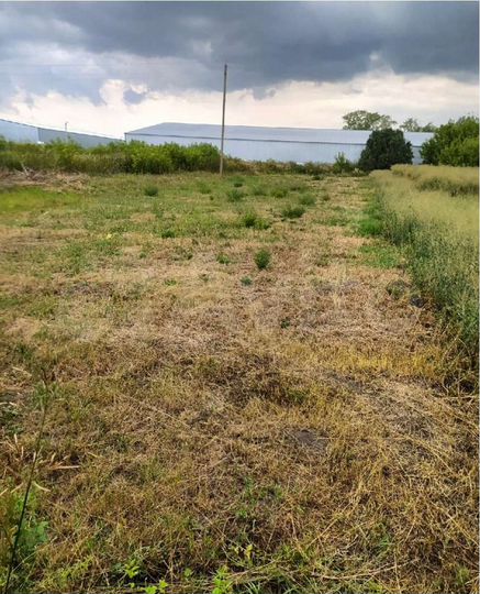 Дом 48,5 м² на участке 26 сот.