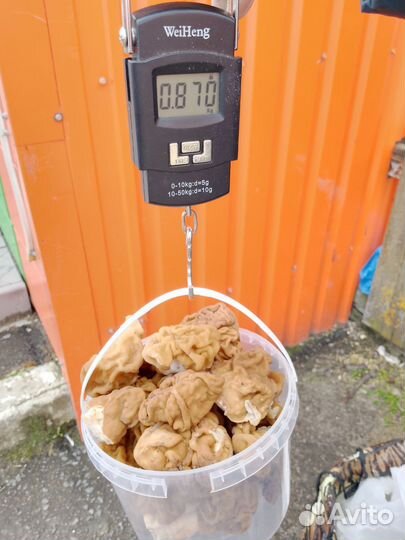 Строчкии и сморчки.Русский трюфель