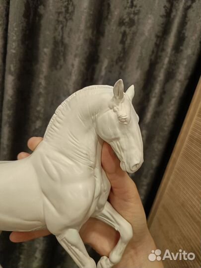 Гальего трад Anky