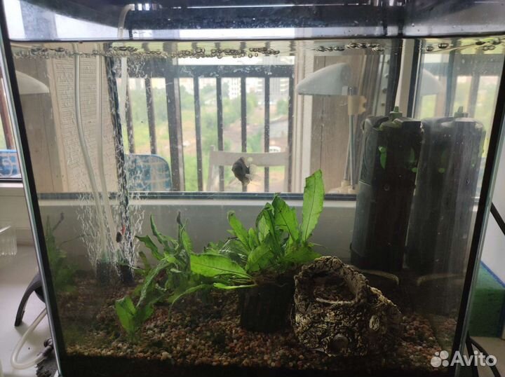 Аквариум Tetra с подсветкой, 30 литров