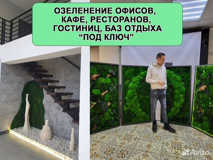 Озеленение гостиниц кафе магазинов декор