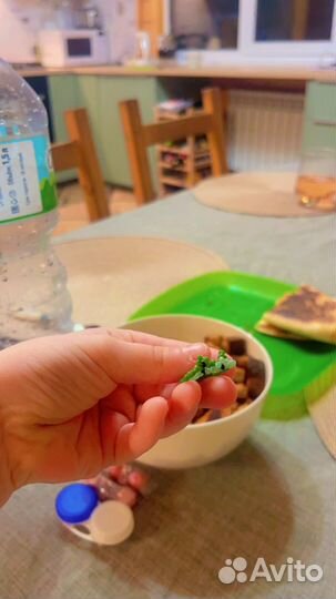 Кольцо из бисера с лягушкой, ручной работы