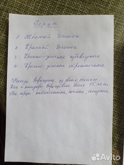 10 сортов помидор, (см.фото)