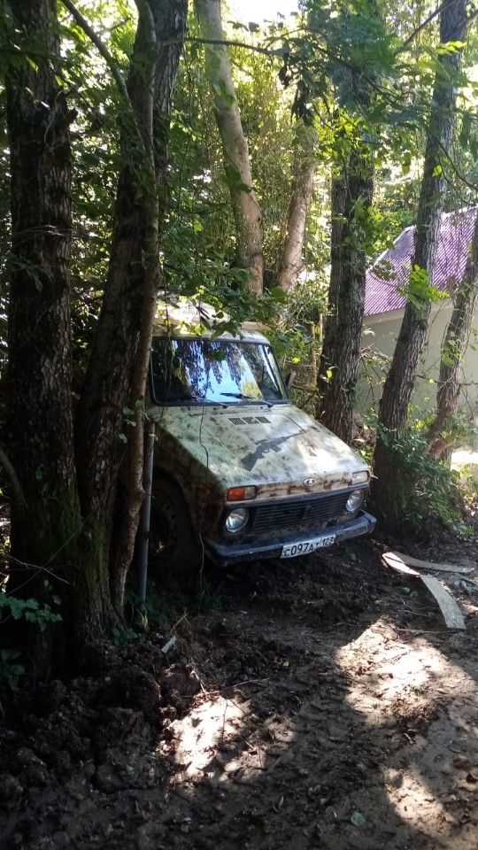 ВАЗ (LADA) 4x4 (Нива): фото владельца