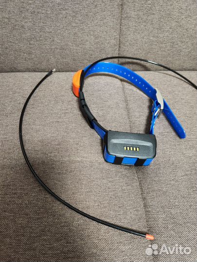 Новый ошейник Garmin T5 (Русская версия, лай)