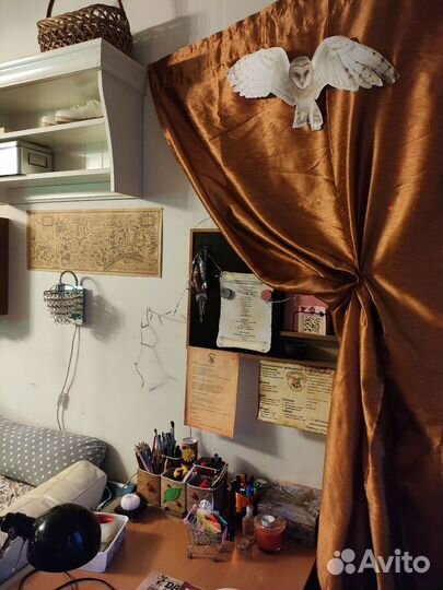 Фотосессия Гарри Поттер в Зеленограде