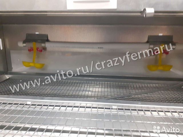 Брудер для цыплят