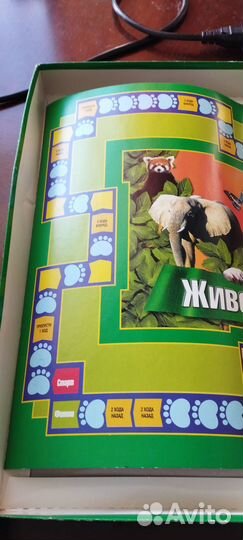 Настольная игра Животный мир