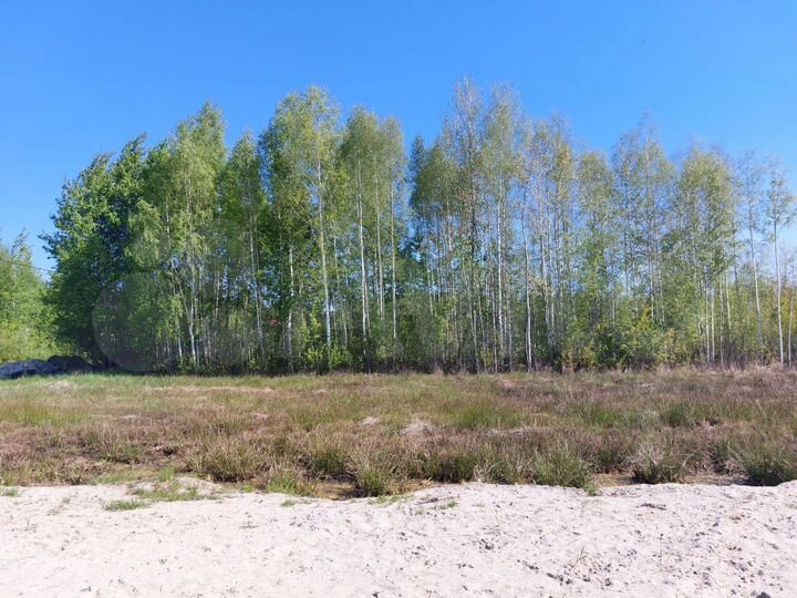 Участок 11,3 сот. (СНТ, ДНП)