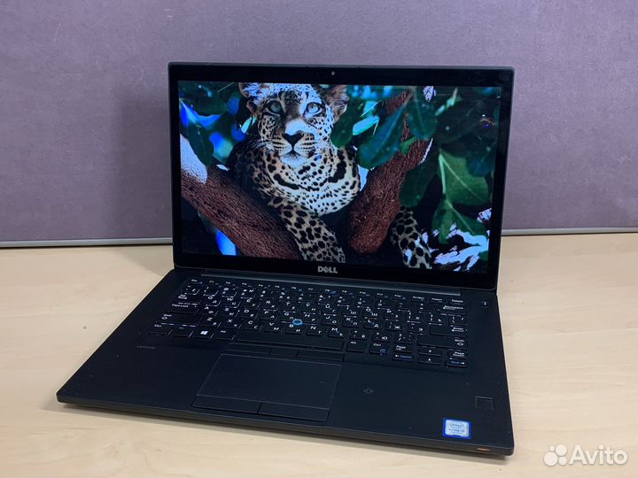 Ноутбук Dell Latitude E7480
