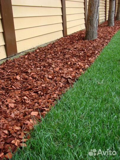 Рулонный газон под ключ