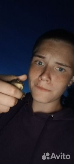 Выгул собак