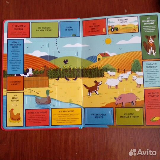 Книги с окошками (новые)