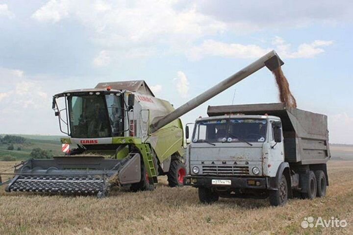 Услуги камаз самосвал