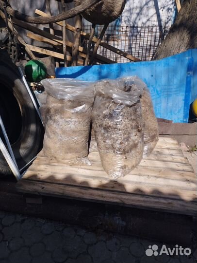 Помет Перепелиный