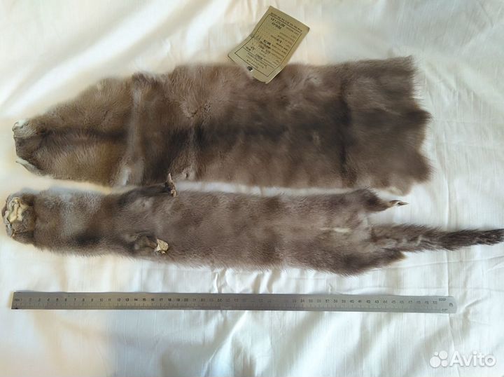 Мех норки шкурки