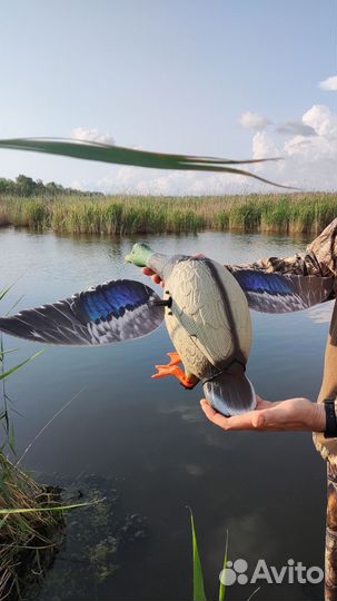 Утка махокрыл приманка электромеханическая