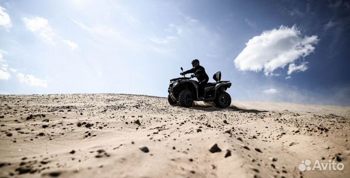 Квадроцикл cfmoto cforce 400L EPS(X4 EPS) черный