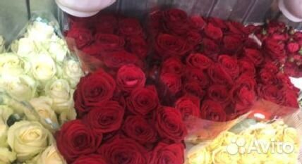 Розочки Букет роз 101 роза 25 роз 51 роза розы с д
