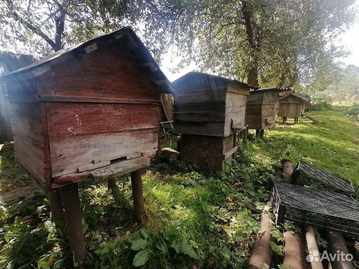 Ульи для пчел