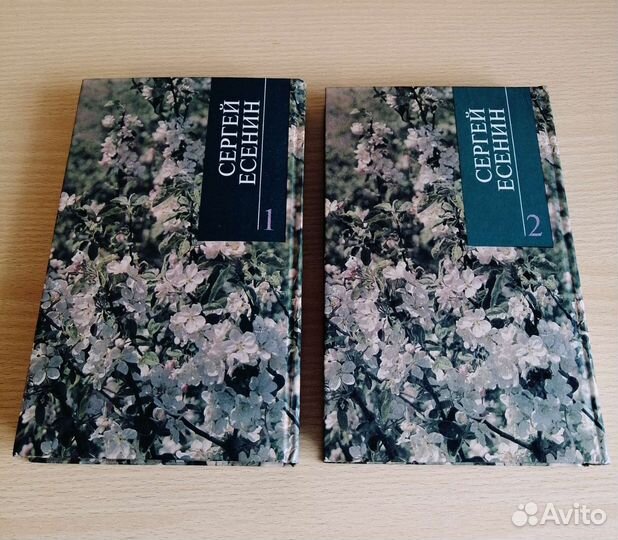 Сергей Есенин двухтомник редкое издание