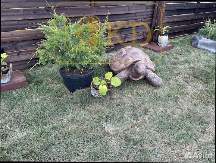 Доска для забора от производиеля