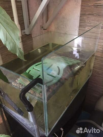 Акватеррариум+Отдам Тумбу+Новые Комплектующие