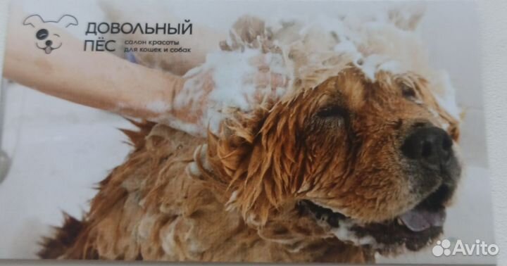 С. Косулино. Груминг. Стрижка кошек и собак