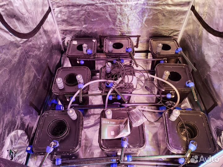 Mars Hydro Гроубокс 150х150х200см+готовая система