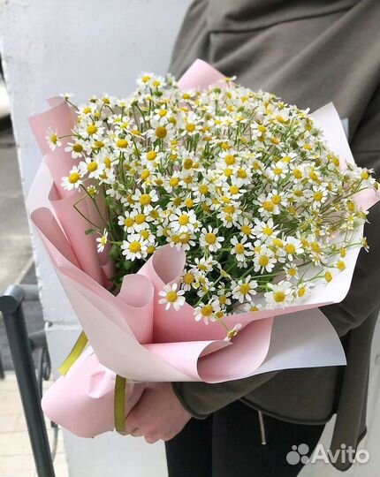 Доставка цветов. Ромашки