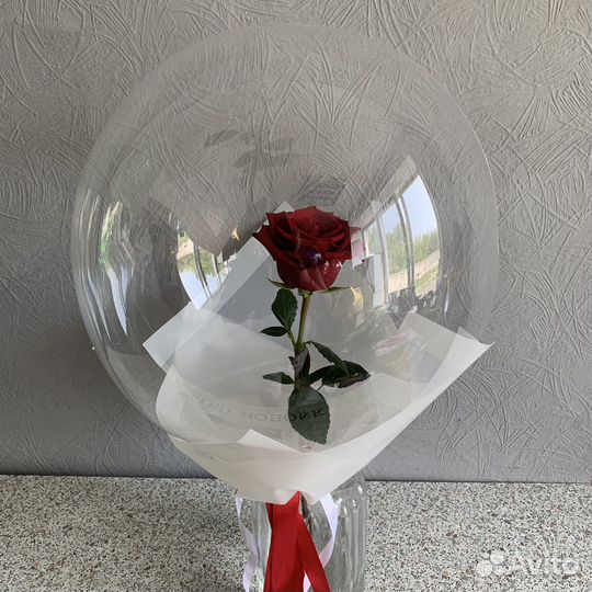 Живые цветы в шаре