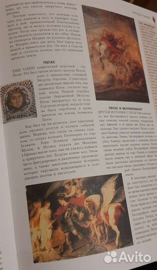 Большая энциклопедия лошади пони