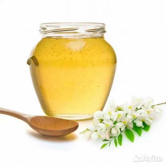 Мед акация 2023