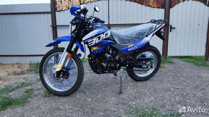 Racer Panther 300