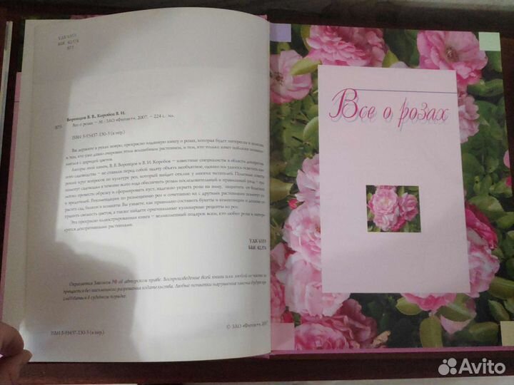 Все о розах