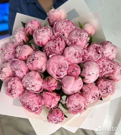 Пионы Цветы Доставка
