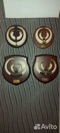 Коллекция клыков кабана (секачей)