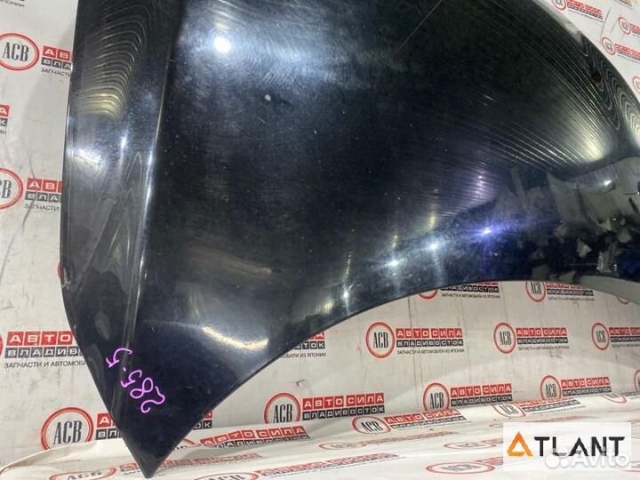 Капот honda accord