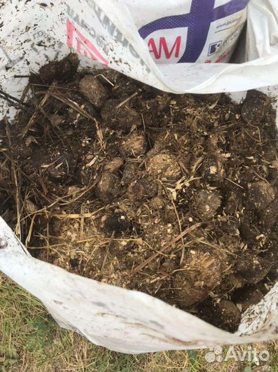 Навоз конский, коровий